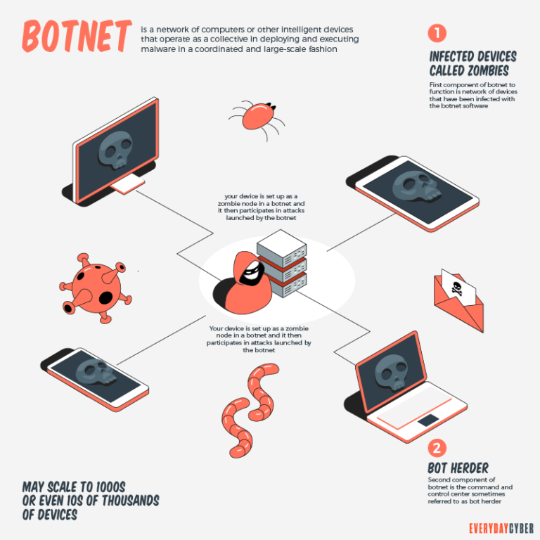 What is a Botnet and How to Protect Your Business from One?