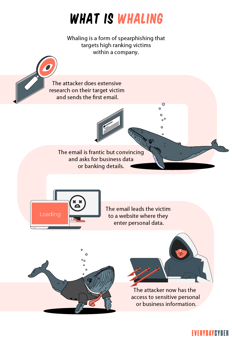 What is Whaling Phishing