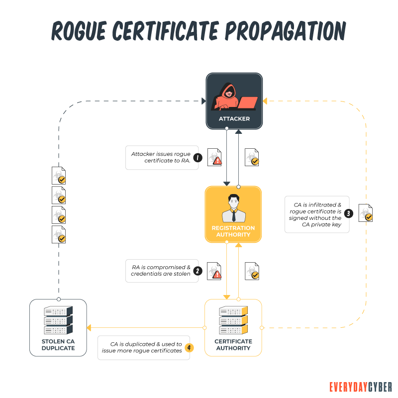 Rogue Certificate Propagation